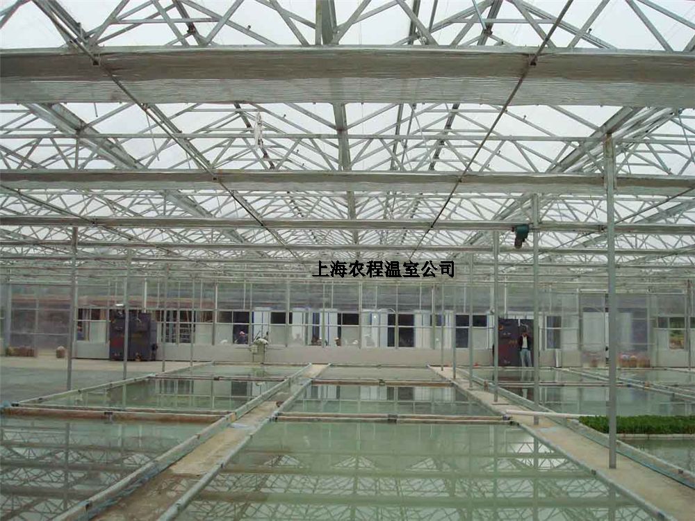 �Ϻ��r(n��ng)��