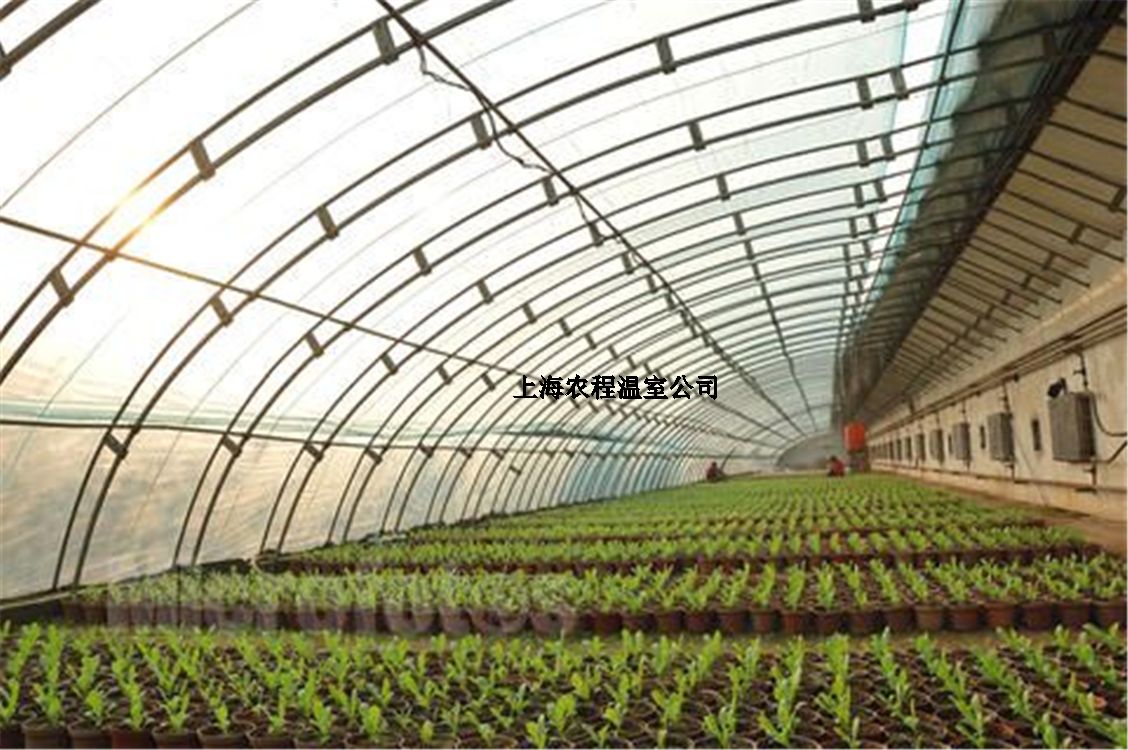 �Ϻ��r(n��ng)��